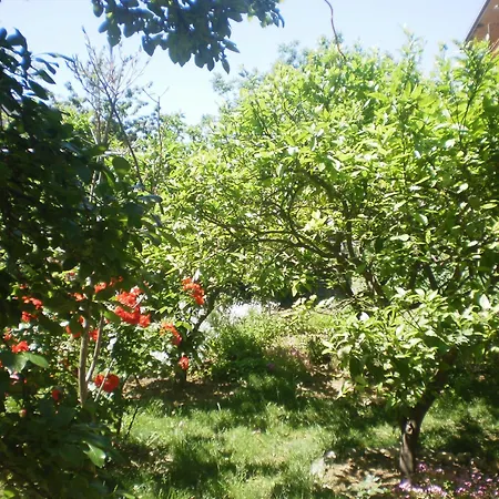 Lucija *